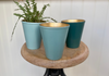 Green & gold planter trio
