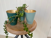 Green & gold planter trio